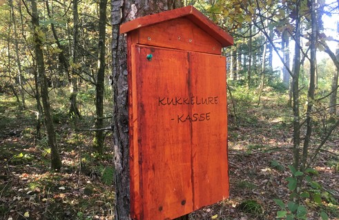 Kukkelurekasser