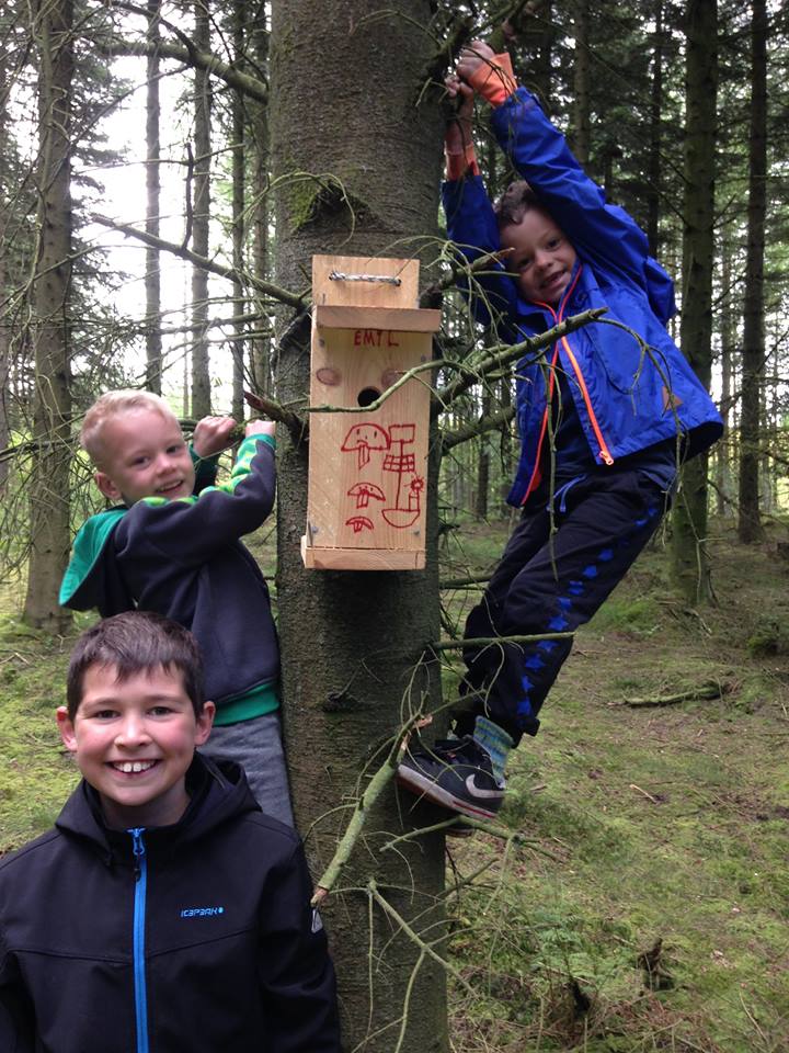 Børn der klatre i et træ for at vise deres fuglekasse frem