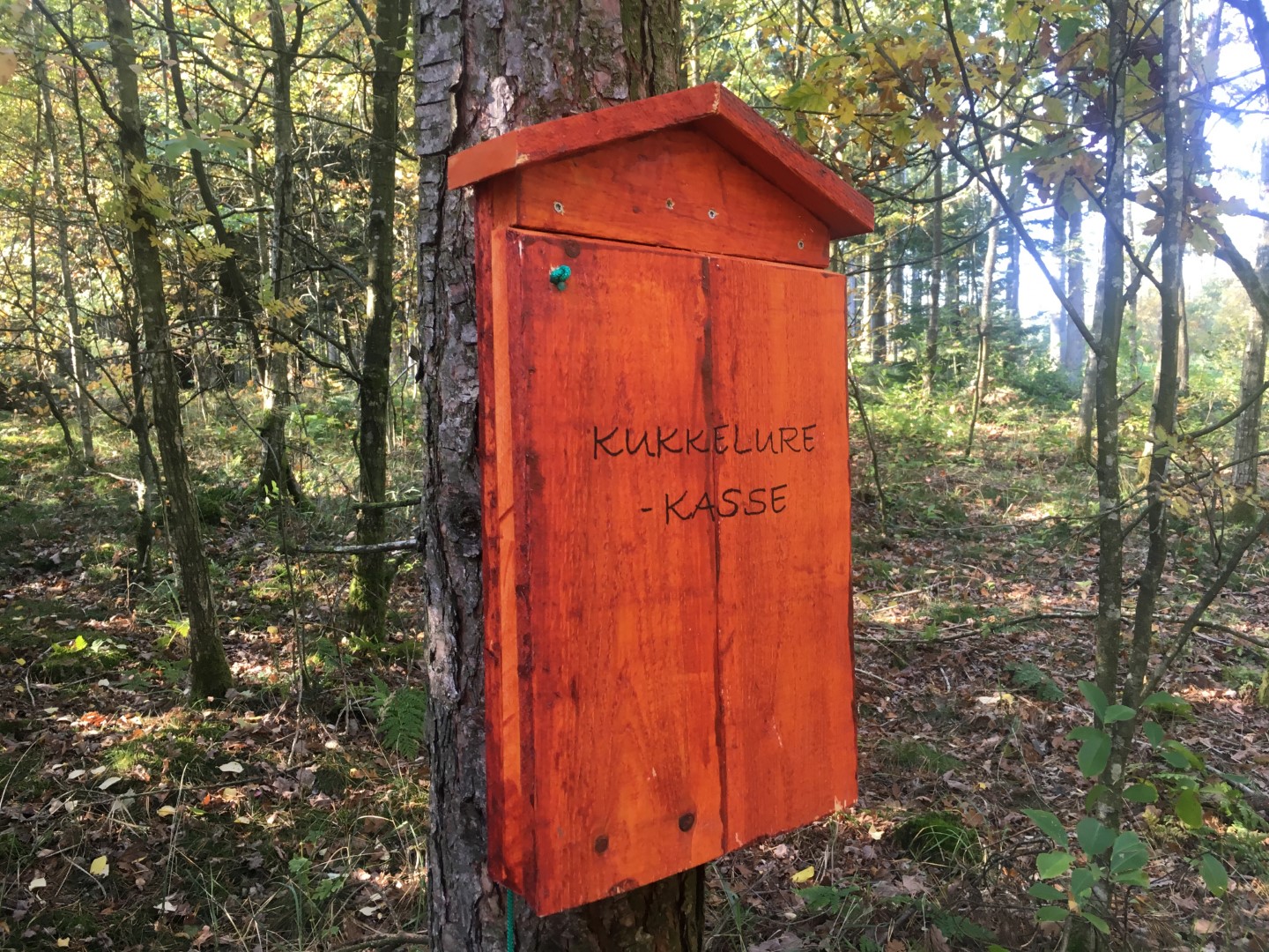 Kukkelurekasse Kukkelurekasse