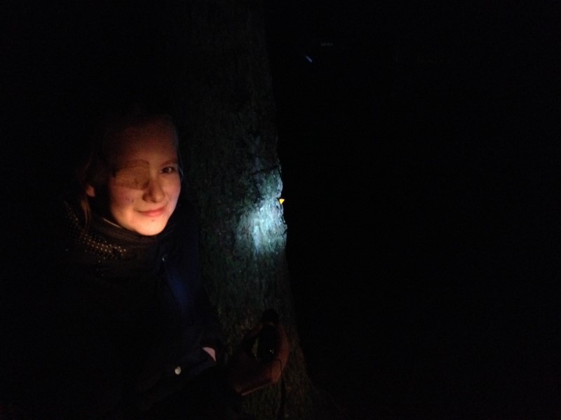 Billede af en pige i skoven i mørke