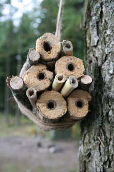 Insekthotel Insekthotel