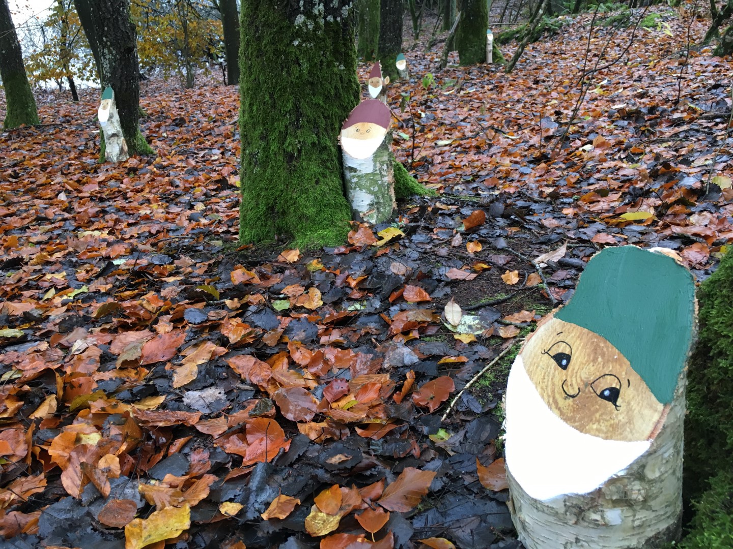 Skovnisser