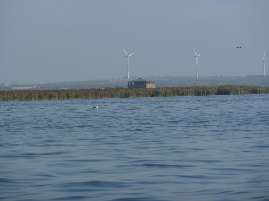 Fulgetårnet ved Vilsted sø Fulgetårnet ved Vilsted sø