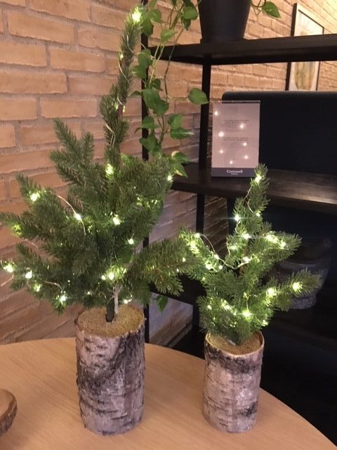 små juletræer med lys
