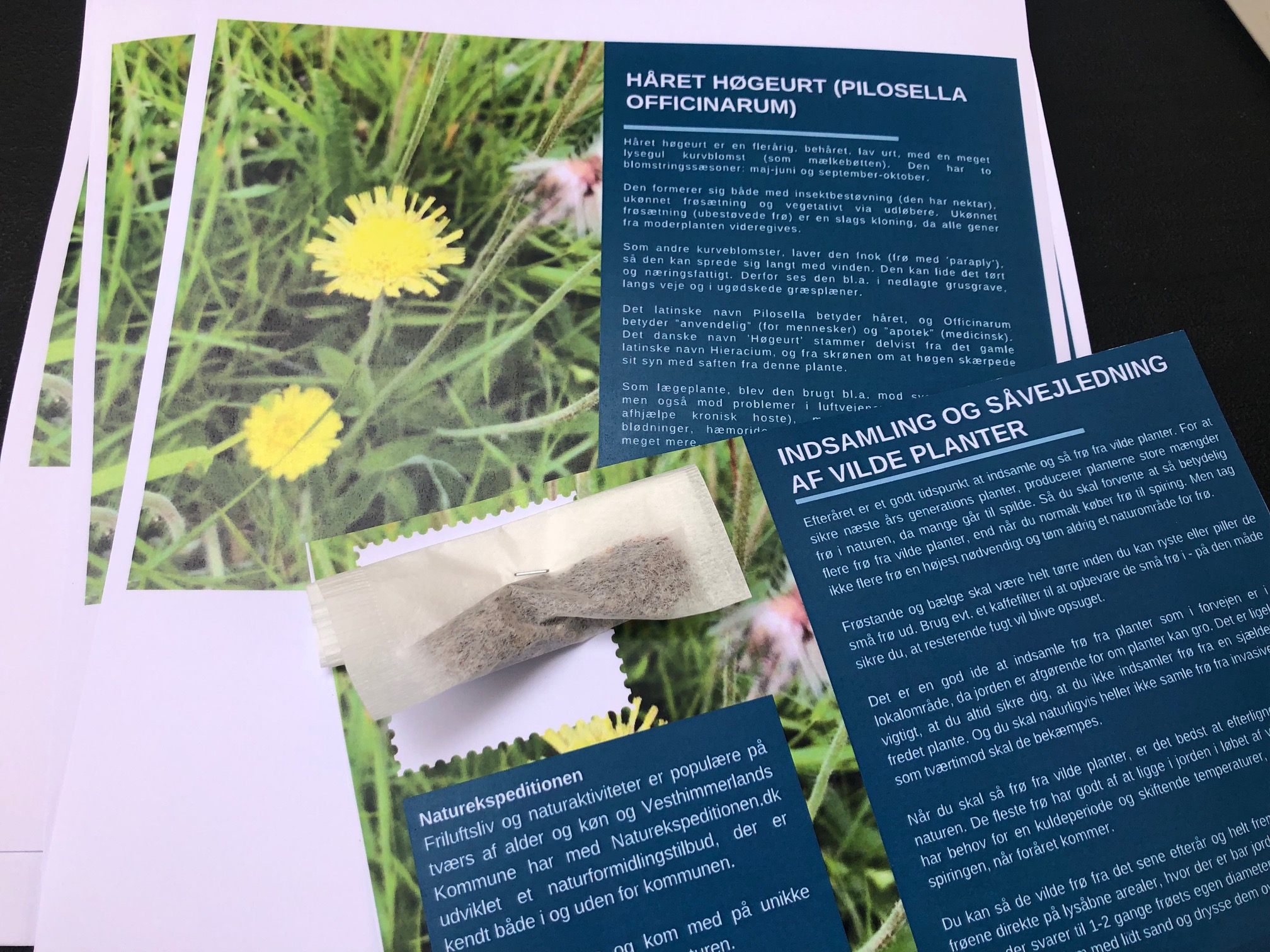 Postkort med frøhilsner, der blev delt ud til Folkemøde for Unge