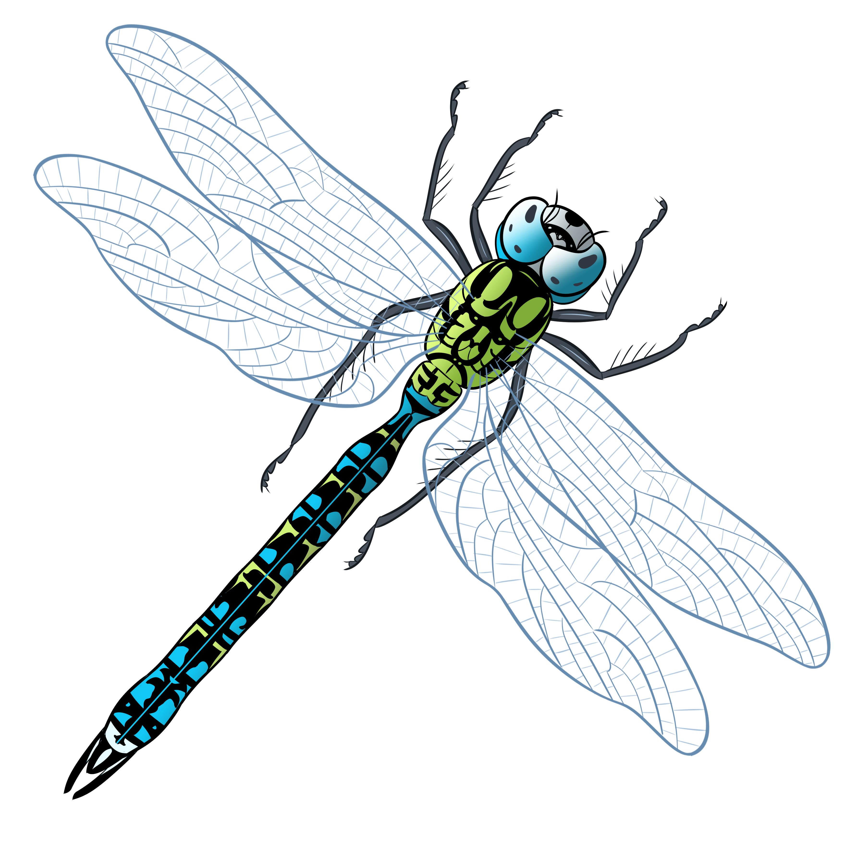 illustration af en guldsmed