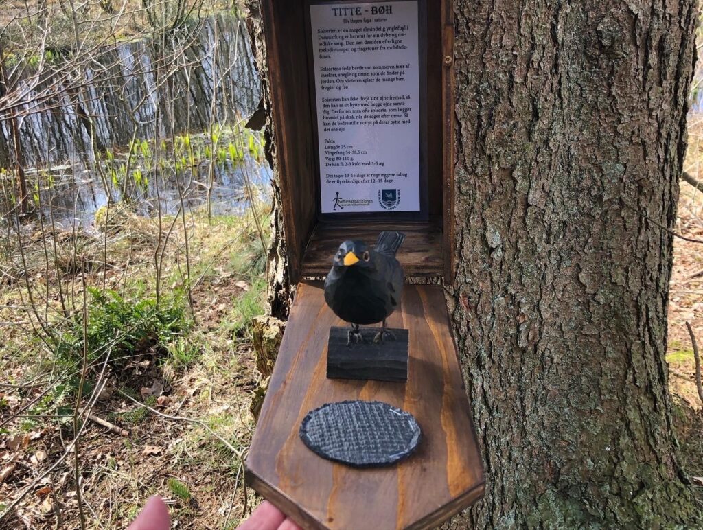 Fuglekasse med træfugl og formidling