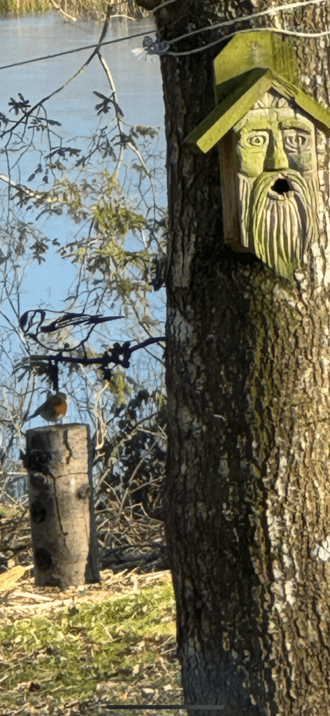 rødhals på foderpind
