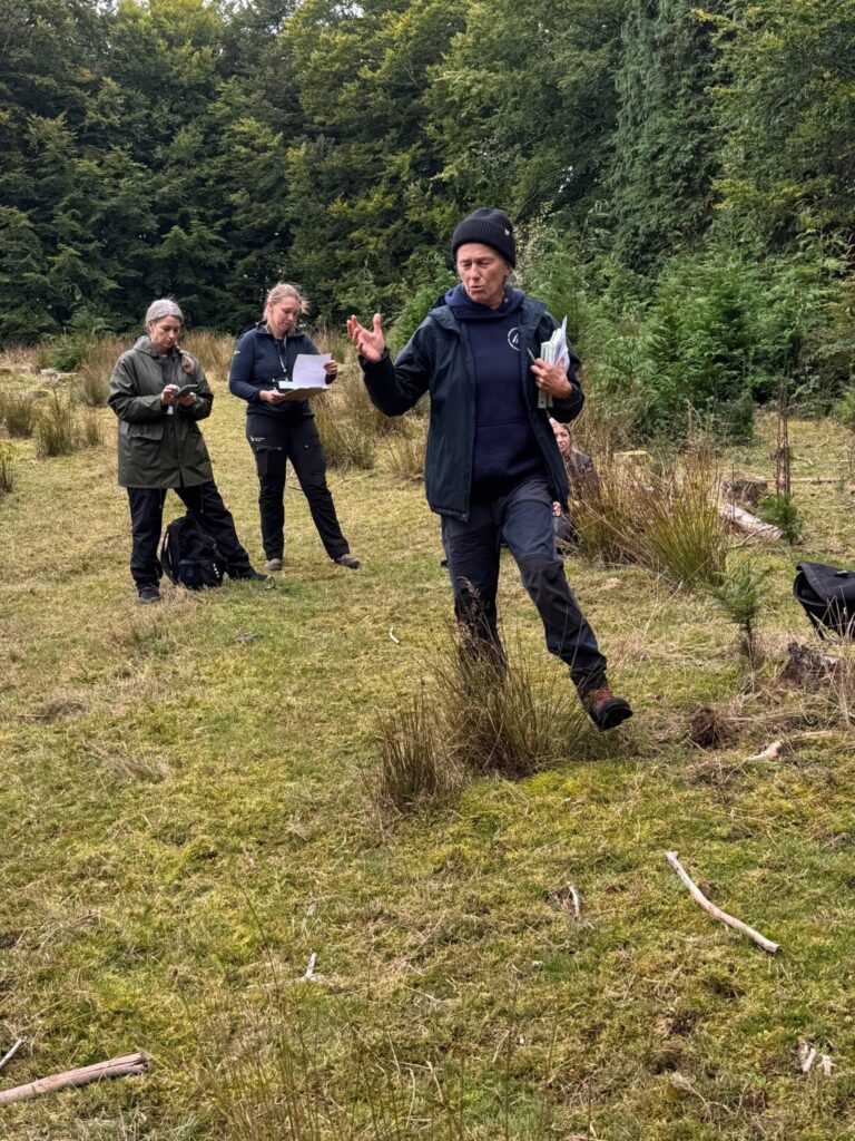 Lektor Cecilie Rubow